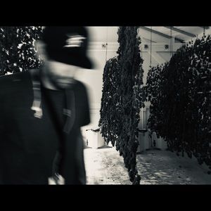 Meet your Posher, Loren